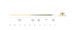 Scientific Anglers Amplitude Smooth Trout GP Fly Line