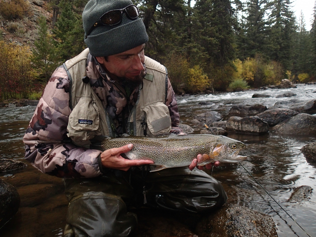 Colorado Fly Fishing Reports: A Tale from the Taylor River