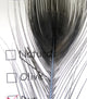 Hareline Dubbin Stripped Peacock Eye Quills