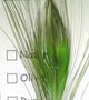 Hareline Dubbin Stripped Peacock Eye Quills