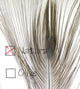 Hareline Dubbin Stripped Peacock Eye Quills