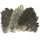 Wapsi Fly Soft Hackle Hen Saddle Patches