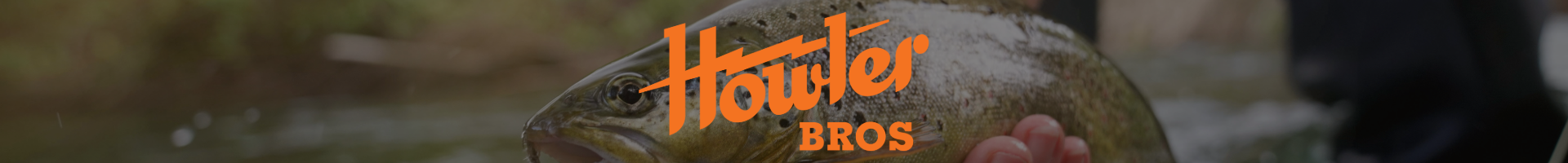 Howler Brothers Brand Image