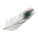 Nature's Spirit Peacock Eye Sticks