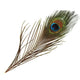 Nature's Spirit Peacock Eye Sticks