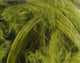 Hareline Dubbin Mallard Flank