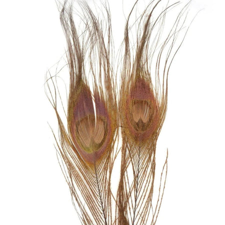 Nature's Spirit Bleached & Dyed Peacock Sticks